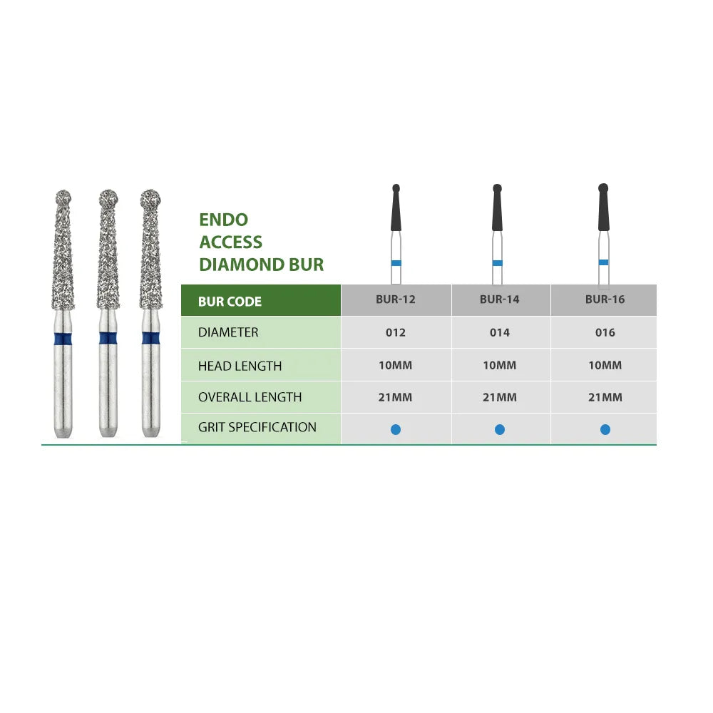 SuperEndo Endo Access Bur