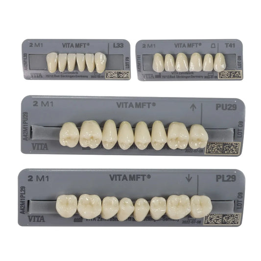 Vita MFT Denture Teeth 2M1 (Set of 28)