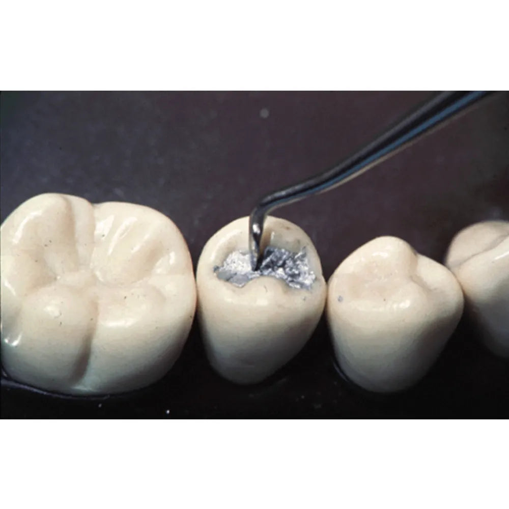 GDC Carver Hollenback - 4 (CVHL3S)