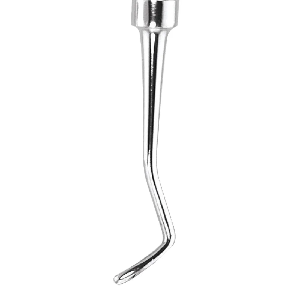 GDC Spoon Excavator Oval Shape #6 EXC19WH