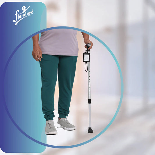 Flamingo Classic Walking Stick with Torch