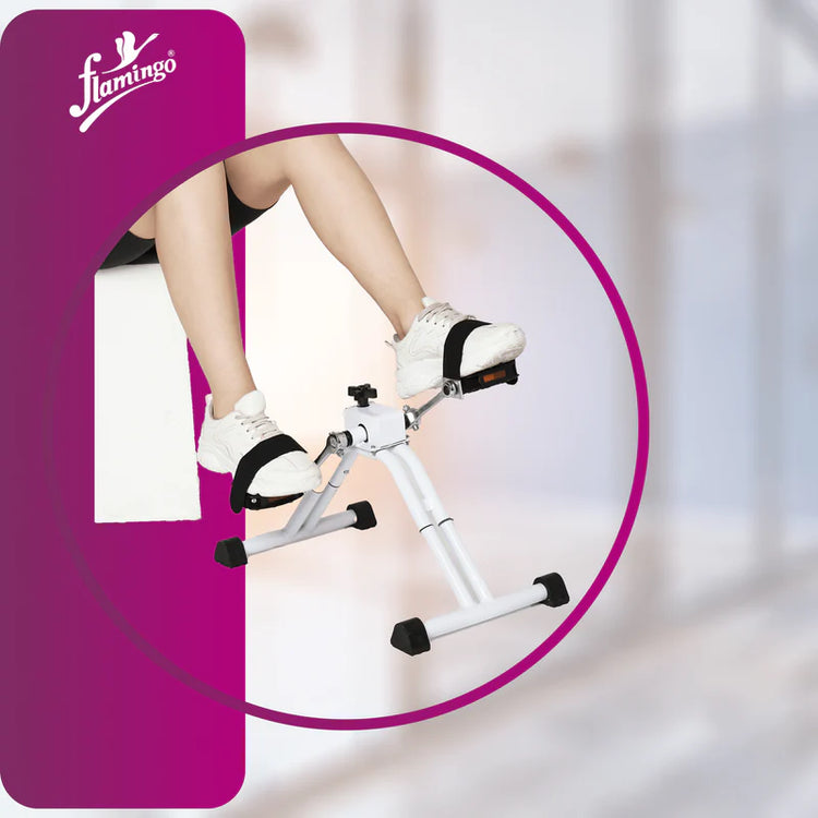 Flamingo Exercise Cycle