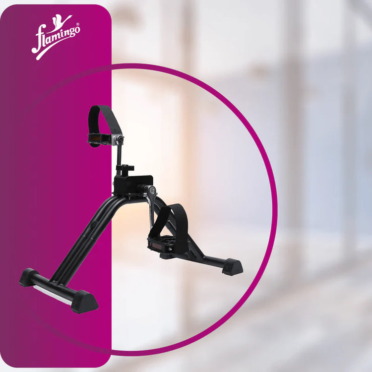 Flamingo Exercise Cycle