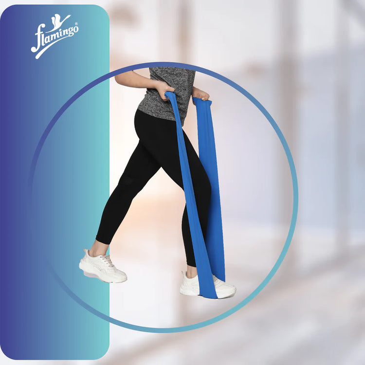 Flamingo Flamistretch Premium Exercise Band