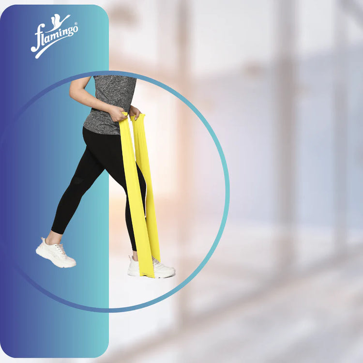 Flamingo Flamistretch Premium Exercise Band