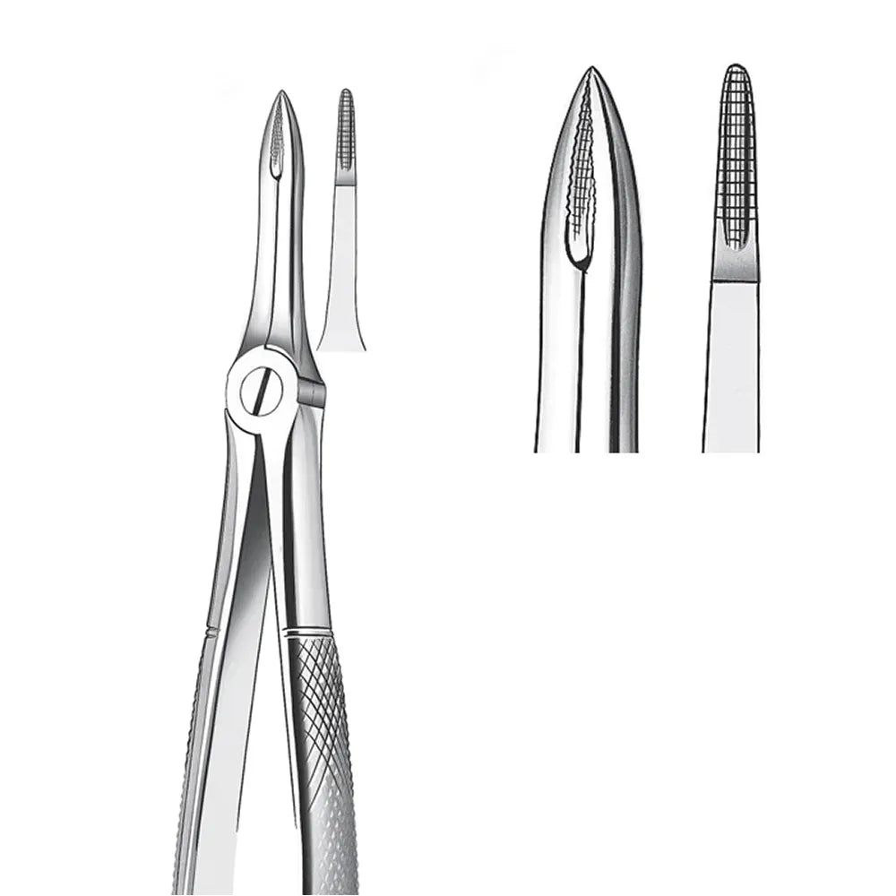 GDC Extraction Forceps Upper Roots - 41 Standard (FX41S)