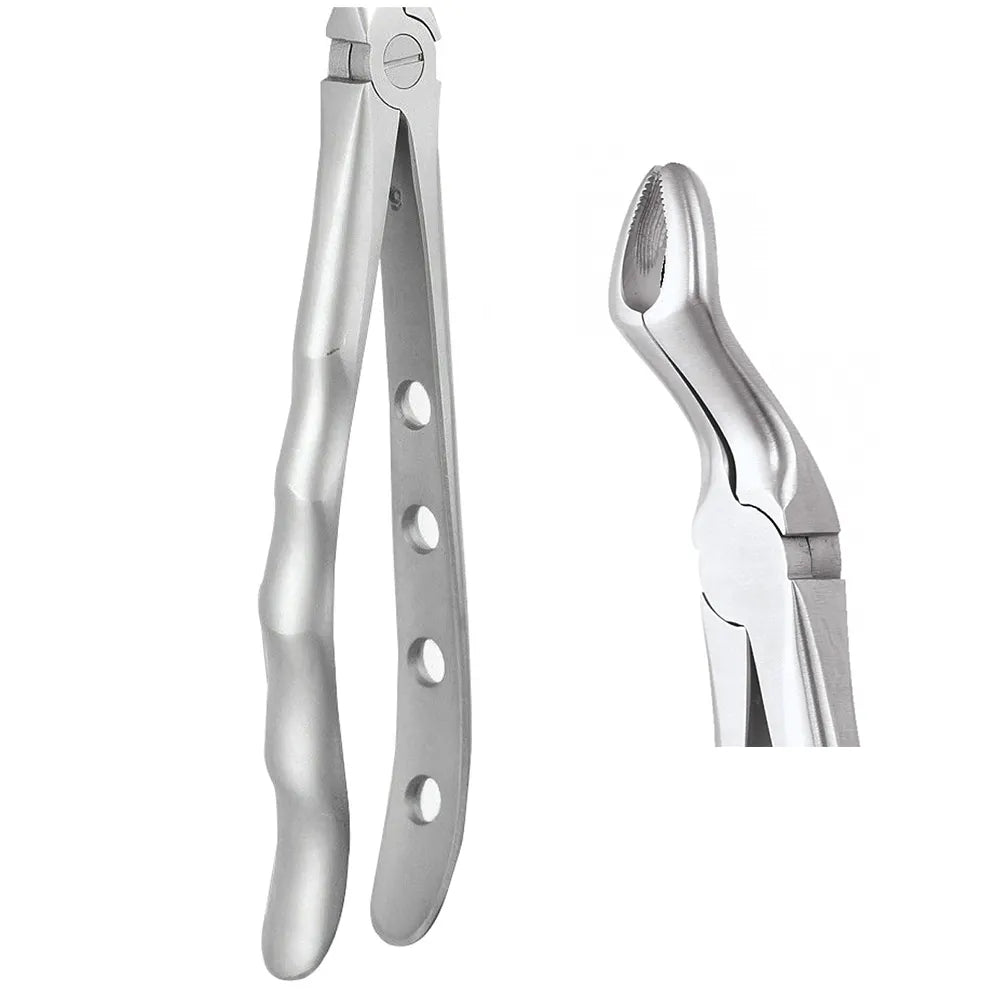 GDC Extraction Forceps Upper Third Molars - 67a Premium (Fx67ap)