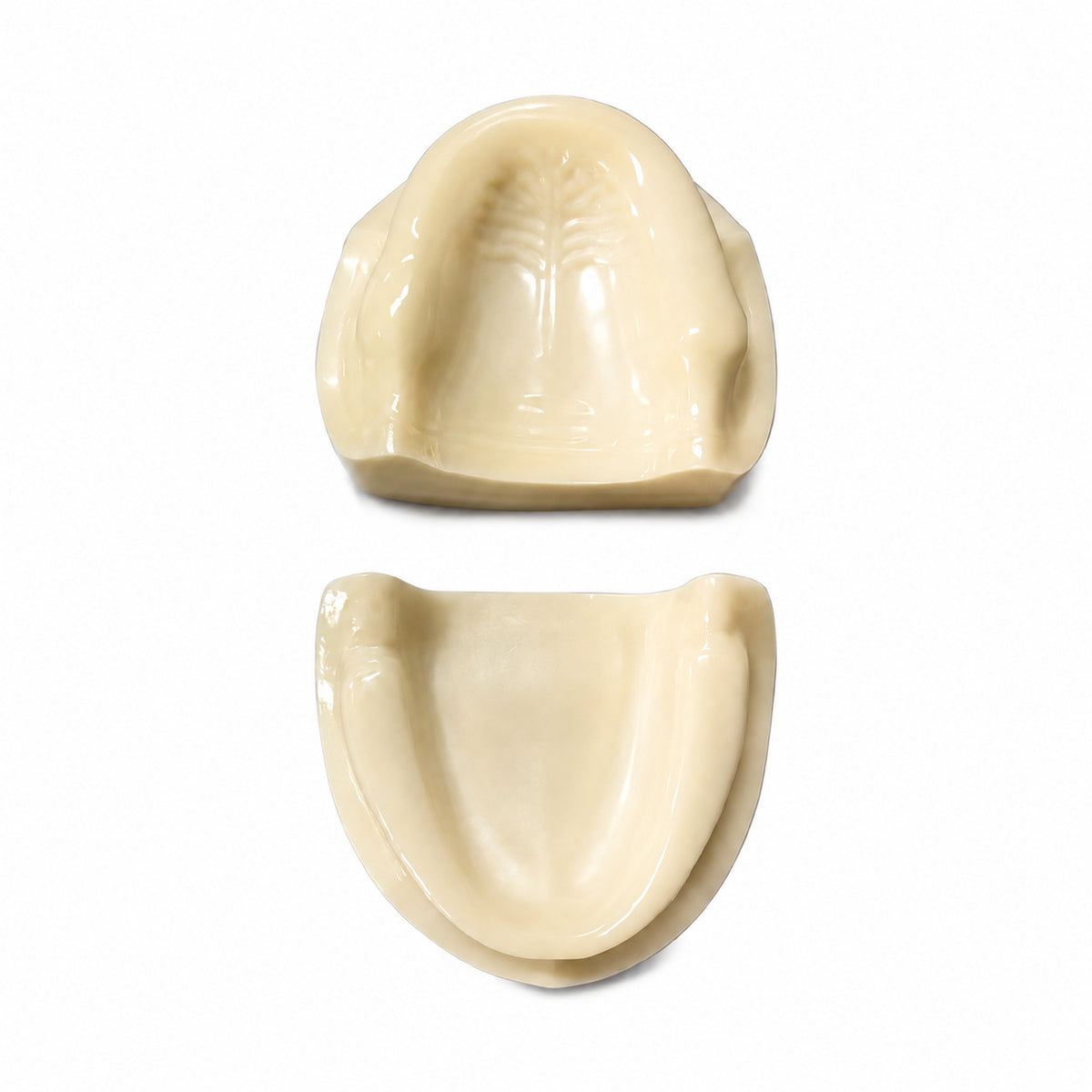 iDENTical Implant Practicing Maxillary & Mandibular Edentulous Models