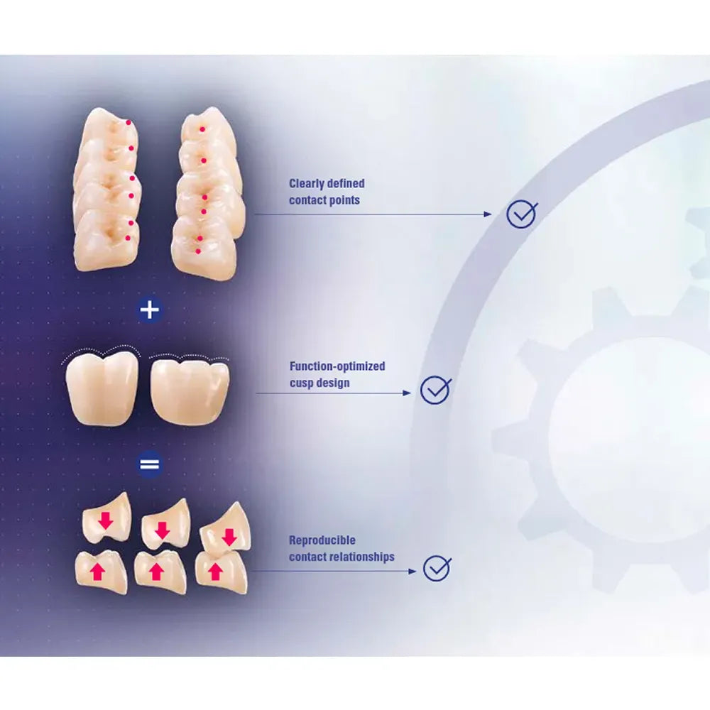 VITA MFT Denture Teeth A1 (Set of 28)