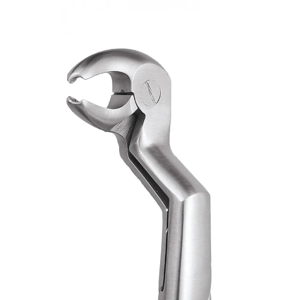 GDC Extraction Forceps Lower Molar And Wisdom Left-22 1/2l Premium (FX221/2LP)