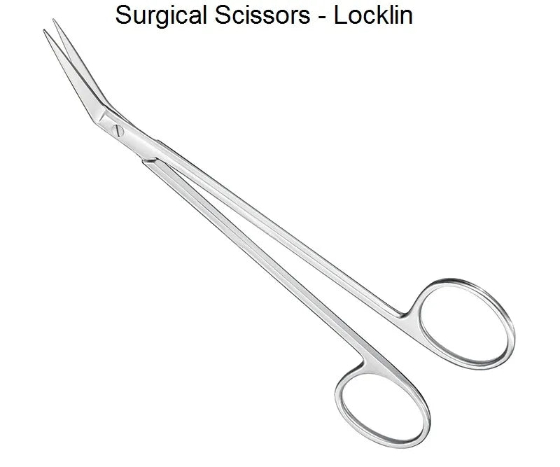 API Surgical Scissors