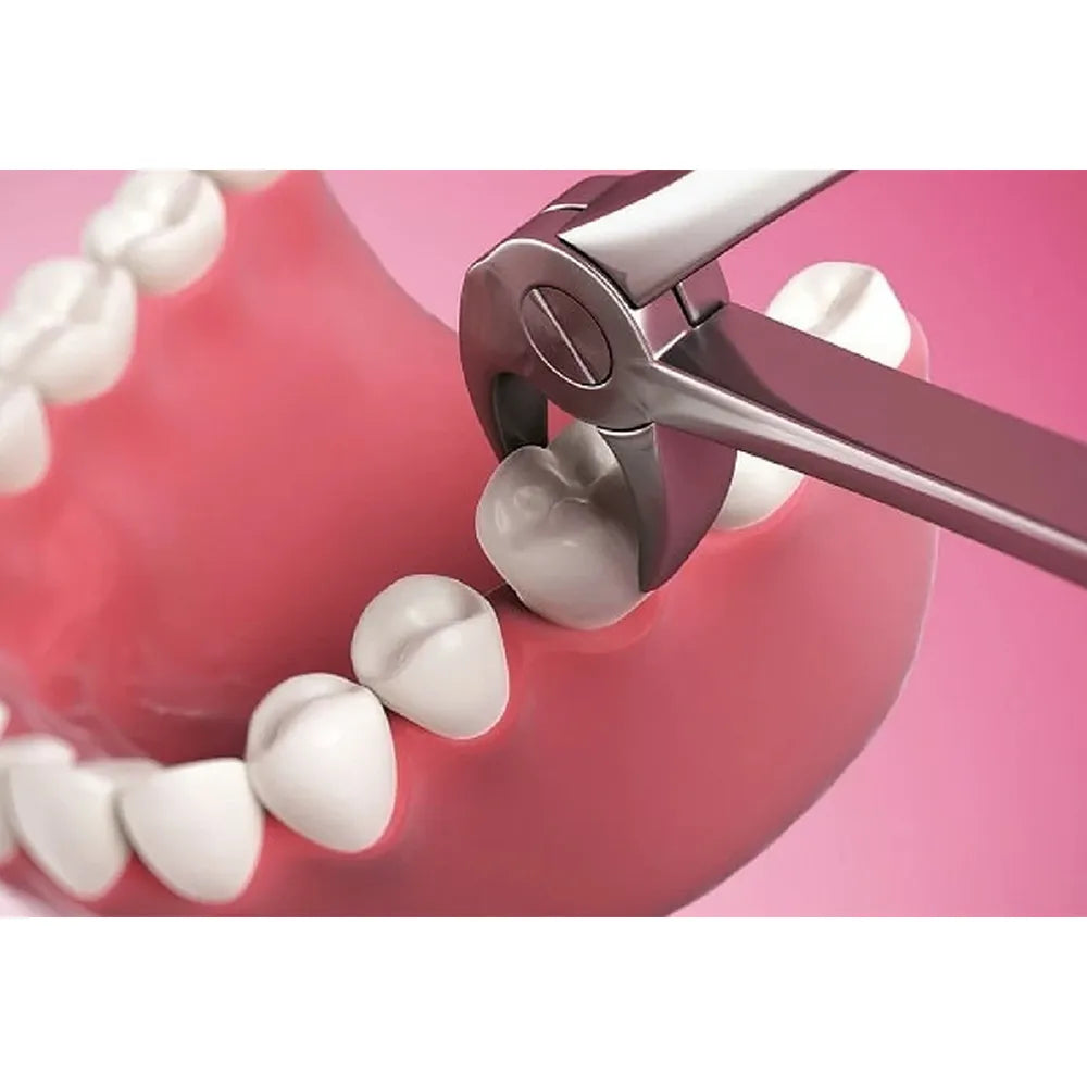 GDC Extraction Forceps Lower Molars - 73 Premium (FX73P)