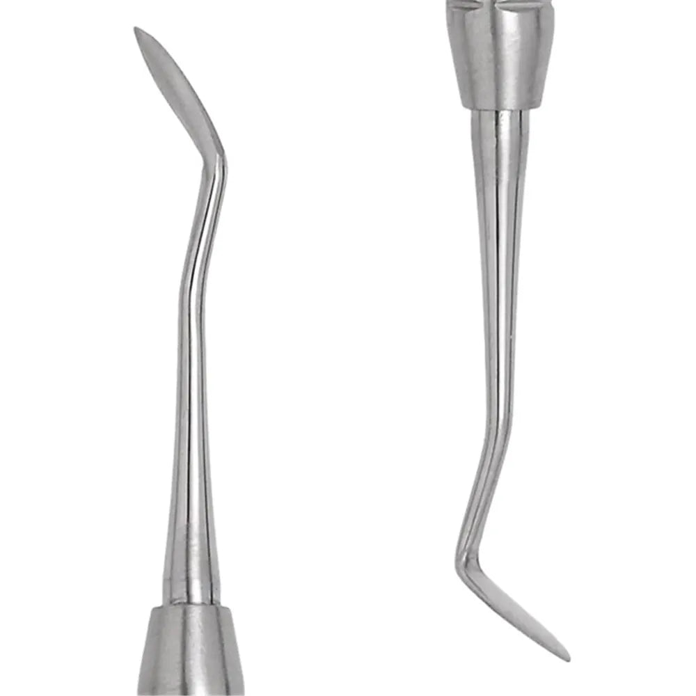 GDC Carver Hollenback - 4 (CVHL3S)