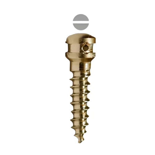 SK Surgicals Titanium IMF Screws