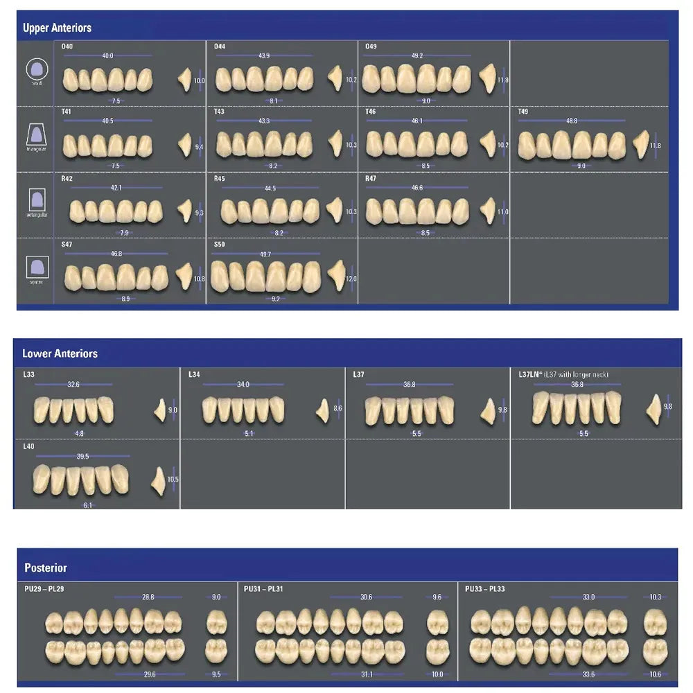 VITA MFT Denture Teeth A1 (Set of 28)