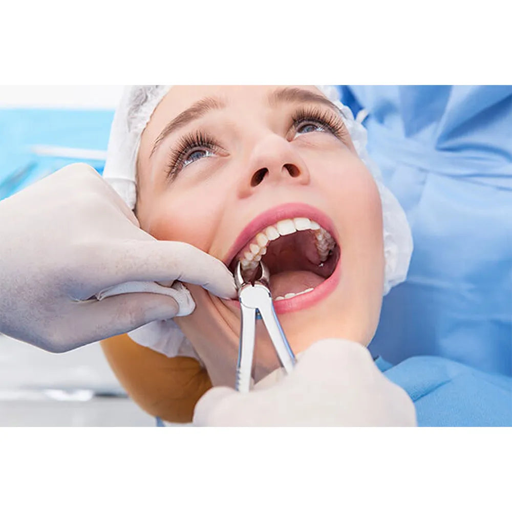 GDC Extraction Forceps Upper Premolar - 7 Standard (FX7S)