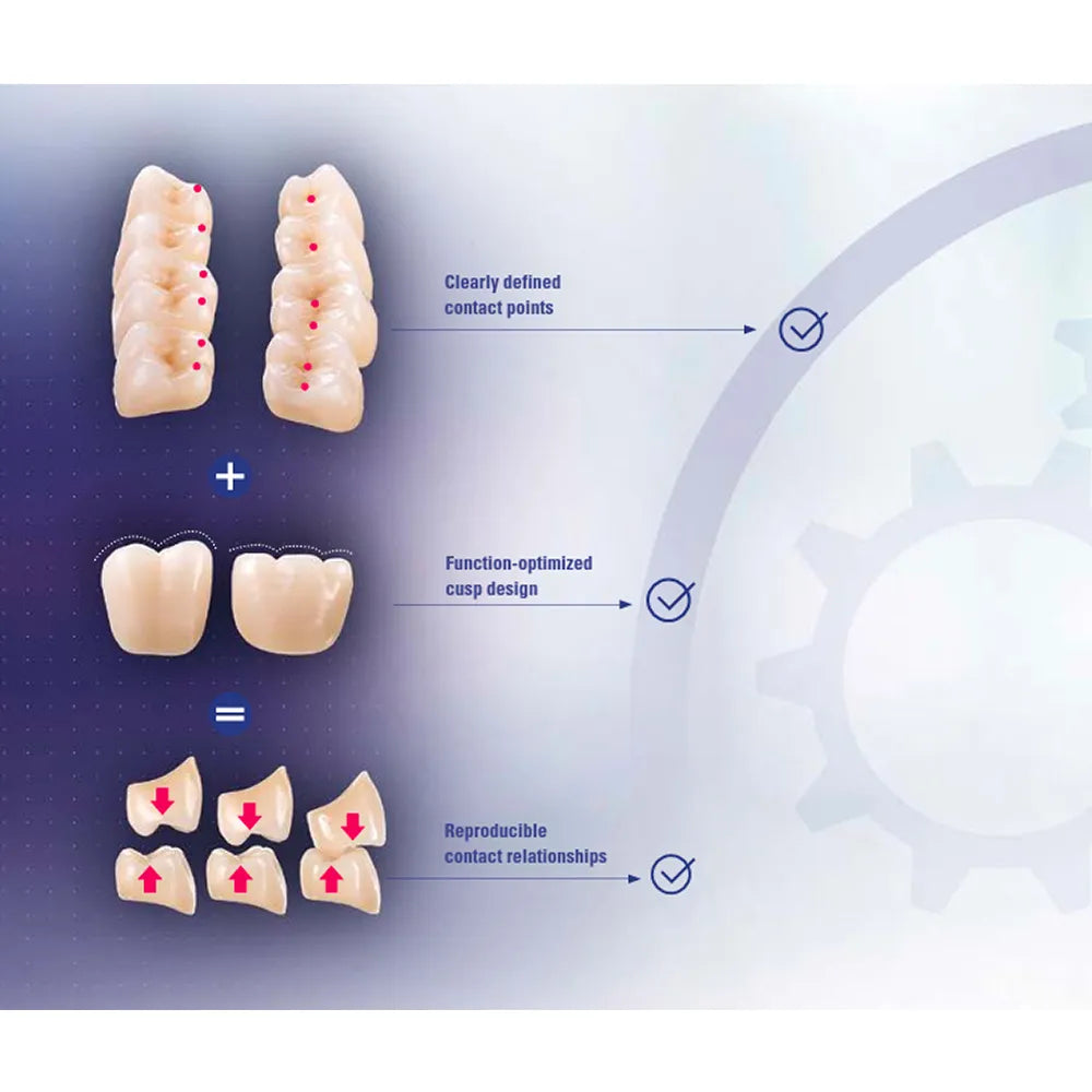 Vita MFT Denture Teeth 1M1 (Set of 28)