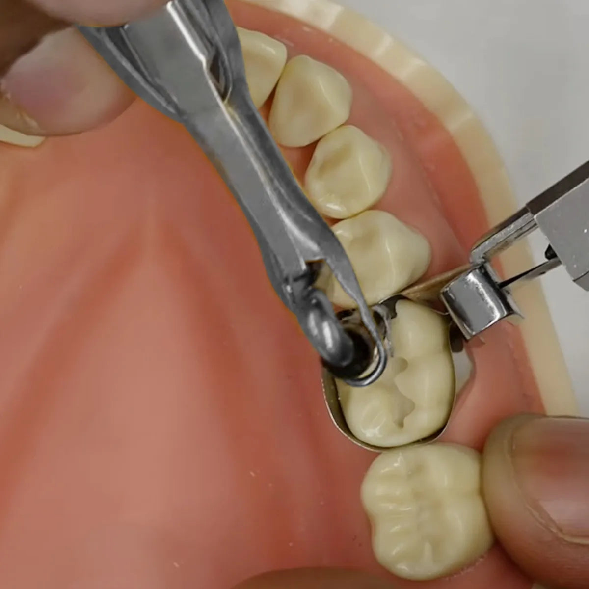 API Dental Amalgam Carrier