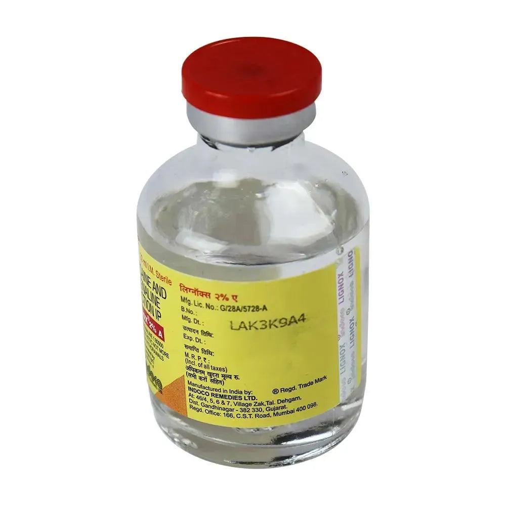 Indoco Warren Lignox Lignocaine 2% (Pack of 24)